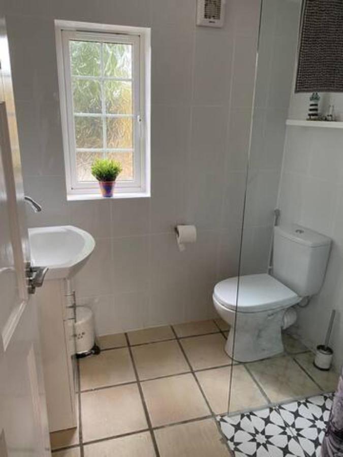 Location, Location! Gorgeous 1 Bed Apt- Killarney Dış mekan fotoğraf